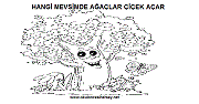mevsim kavramını nasıl öğretebiliriz